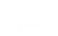 sts. Hiérarques : Basile le Grand, Jean Chrysostome et Grégoire le Théologien
28 sur 22 cm