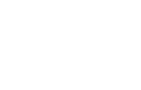 ste. Théodora de Basta
22 sur 12 cm