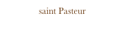 saint Pasteur